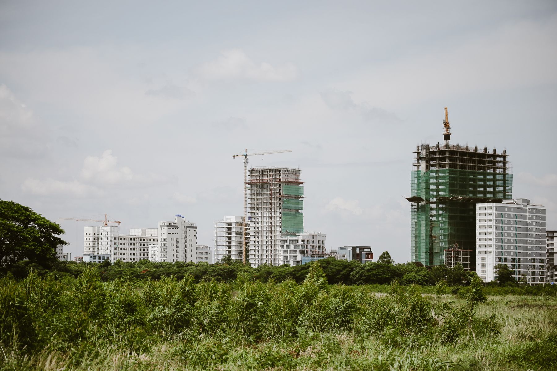 Grúas y bloques residenciales en una obra urbana